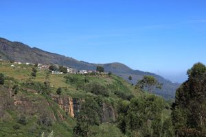 WhatsApp Image 2025-12-15 at 3.55.06 PM (1)